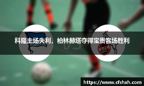 智博19