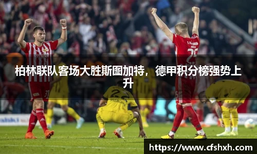 智博19有限公司