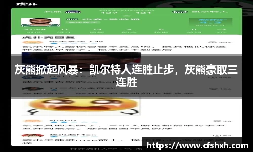 智博19有限公司