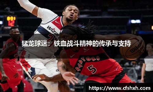 猛龙球迷：铁血战斗精神的传承与支持