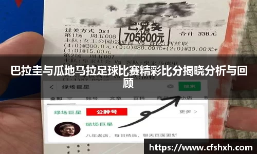 智博19